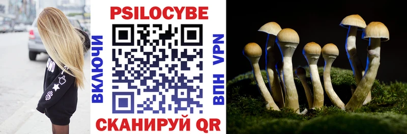 Псилоцибиновые грибы Psilocybe  OMG зеркало  Кочубеевское  продажа наркотиков 