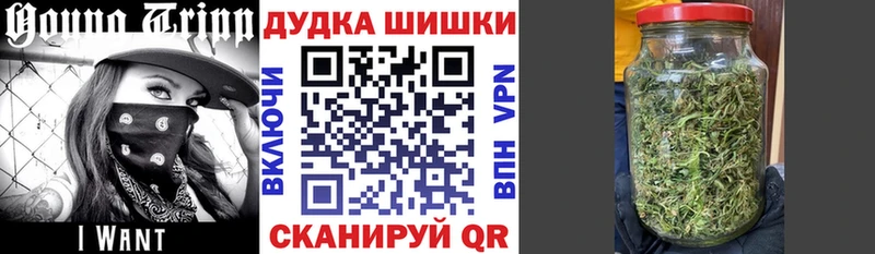 Бошки Шишки тримм  Кочубеевское 